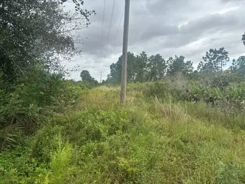 0 Kenansville, Okeechobee, FL 34739 photo 3