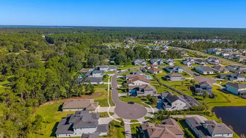 View/Area - 172 Hickory Ranch Dr, Saint Johns, FL 32259 photo 3 of 12