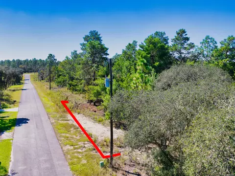 0 0, Dunnellon, FL photo 5