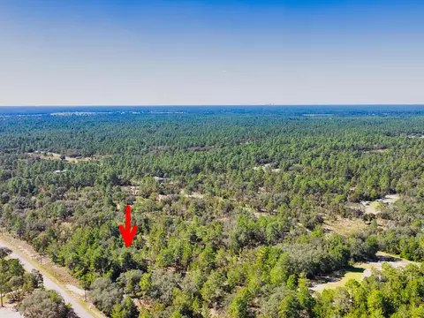 0 0, Dunnellon, FL photo 10
