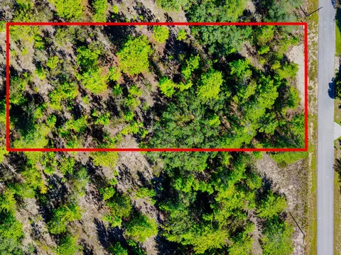 0 0, Dunnellon, FL photo 6