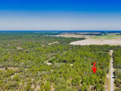 0 0, Dunnellon, FL photo 7