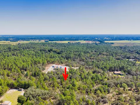 0 0, Dunnellon, FL photo 3