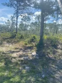 4538 Mignon Dr, Sebring, FL 33872 photo 4