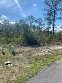4538 Mignon Dr, Sebring, FL 33872 photo 5
