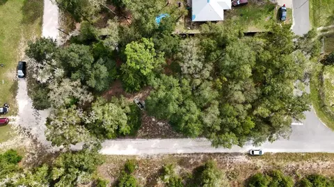 0 Wesley Ave, Bell, FL 32619 photo 2