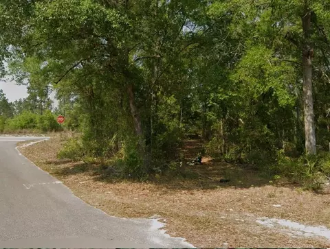 0 Wesley Ave, Bell, FL 32619 photo 19