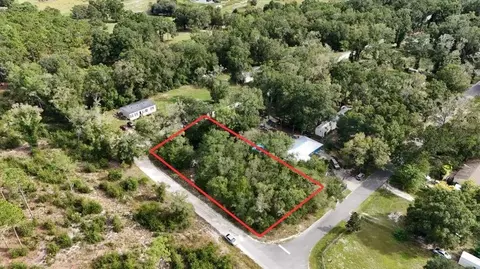 0 Wesley Ave, Bell, FL 32619 photo 3
