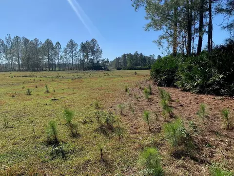 0 Poyner Rd, Polk City, FL 33868