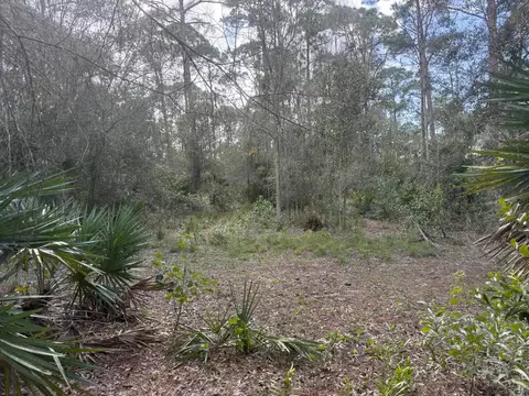 0 SW Deer Run, Okeechobee, FL 34974 photo 12