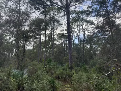 0 SW Deer Run, Okeechobee, FL 34974 photo 7