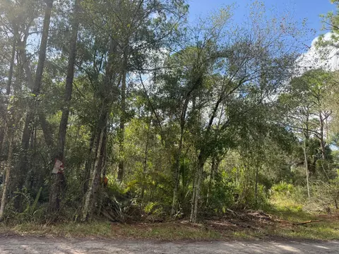 0 SW Deer Run, Okeechobee, FL 34974 photo 5