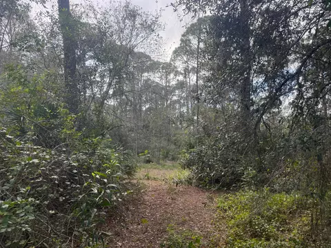 0 SW Deer Run, Okeechobee, FL 34974 photo 9