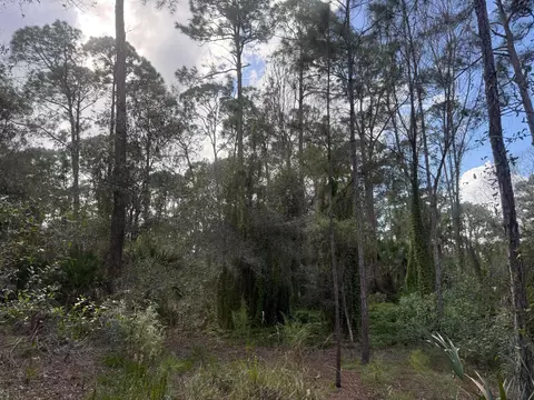 0 SW Deer Run, Okeechobee, FL 34974 photo 11