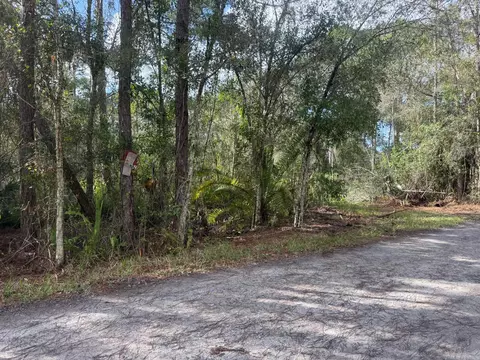 0 SW Deer Run, Okeechobee, FL 34974 photo 3