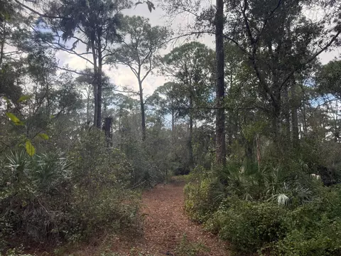 0 SW Deer Run, Okeechobee, FL 34974 photo 10