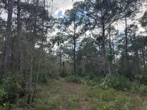 0 SW Deer Run, Okeechobee, FL 34974 photo 2
