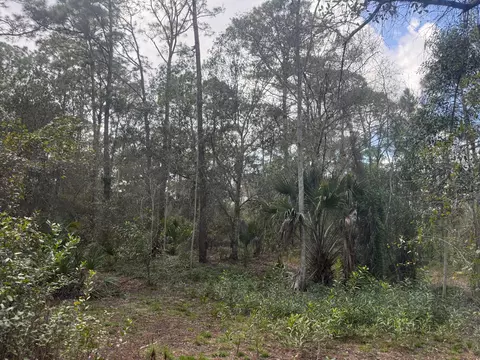 0 SW Deer Run, Okeechobee, FL 34974 photo 8