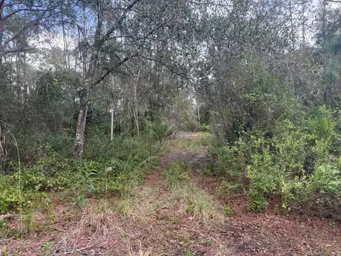 0 SW Deer Run, Okeechobee, FL 34974 photo 6