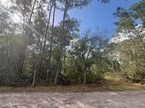 0 SW Deer Run, Okeechobee, FL 34974 photo 4