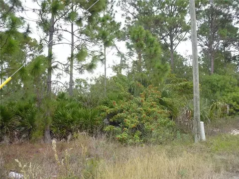 320 G Rd, Labelle, FL 33935 photo 3