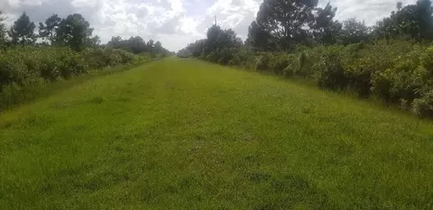 16323 NW 266th, Okeechobee, FL 34972 photo 1