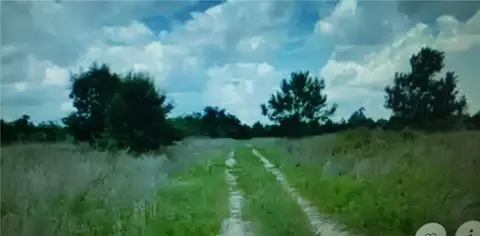 lot D6 Palm Cir, Branford, GA 32008