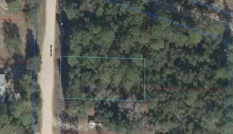 0 NE 144 Ter, Williston, FL 32696