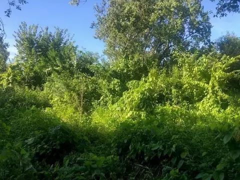 0 NW 7th St, Okeechobee, FL 34972