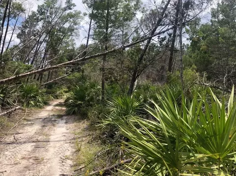 0 Patty, Mims, FL 32754