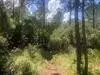 228 Clairdale, Lake Placid, FL 33852