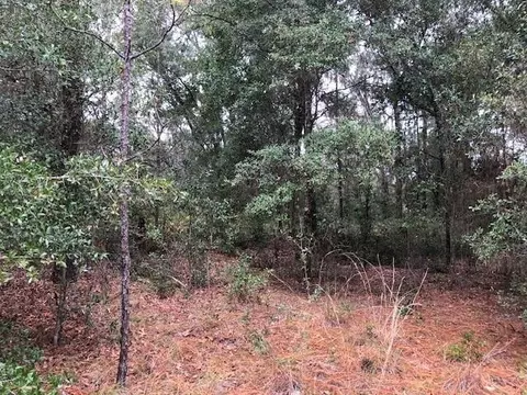 7387 W Rainbow, Dunnellon, FL 34433