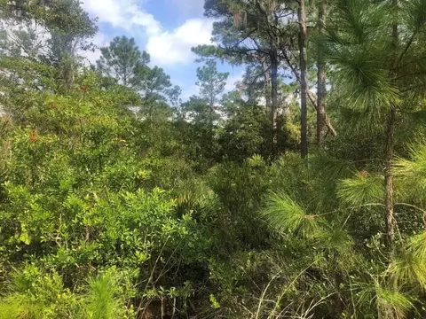 0 Xeriscape Nursery, Lake Wales, FL 33859