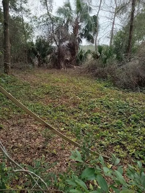 Undisclosed, Ocklawaha, FL 32179
