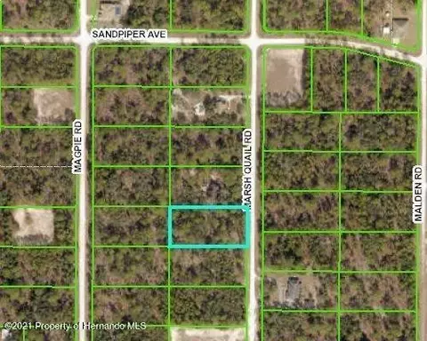 16123 Marsh Quail Rd, Weeki Wachee, FL 34614