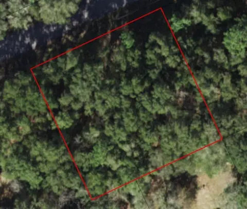 3698 E Johnson, Inverness, FL 34453