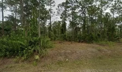 807 Henry, Lehigh Acres, FL 33972