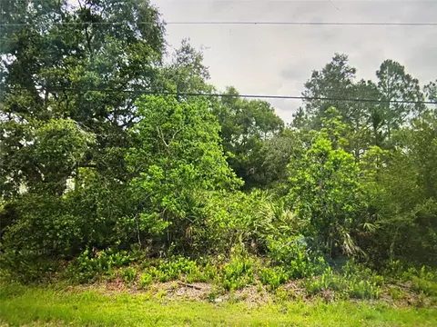 lot7 Nutmeg St, Orlando, FL 32833