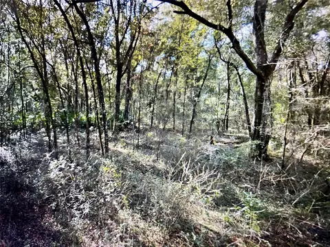0 NE 8th St, Williston, FL 32696