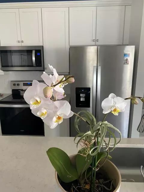 1819 Sandpiper Pointe Pl #1819, Deerfield Beach, FL 33442
