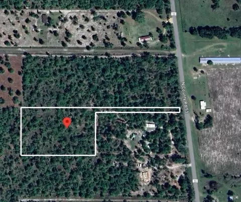 53 Vacant Cr, Lee, FL 32059