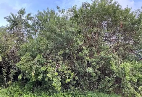 961 George, Sebastian, FL 32958