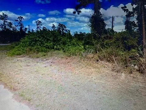 729 Ontario, Lehigh Acres, FL 33974