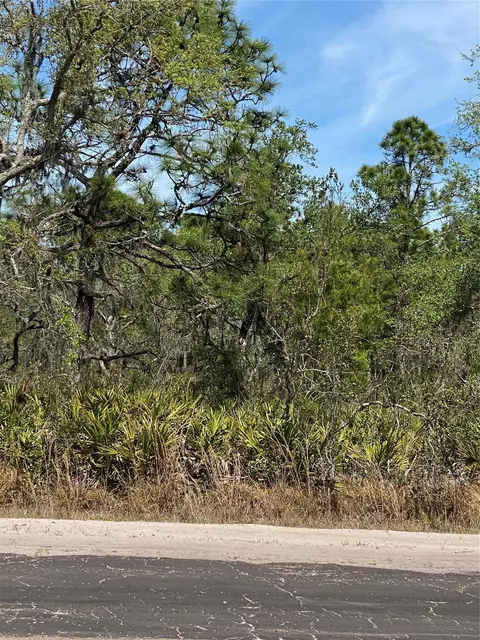 lot12 Blk 234 Palm Ave, Indian Lake Estates, FL 33855
