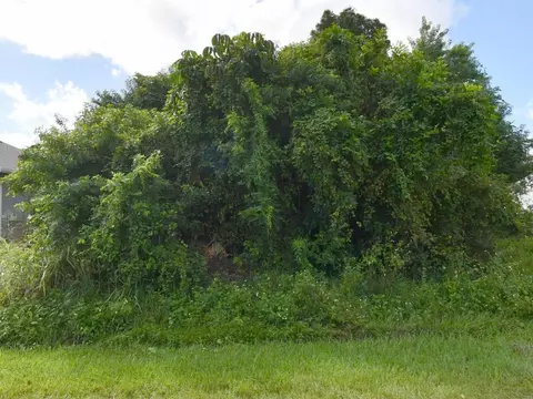 432 SE Starflower Ave, Port St Lucie, FL 34983