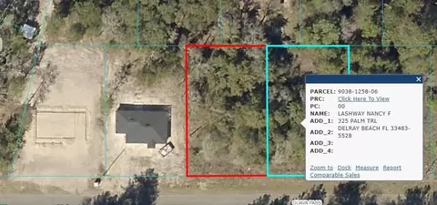 Undisclosed, Ocklawaha, FL 32179
