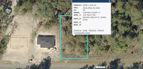 19 Guava Pass, Ocklawaha, FL 32179