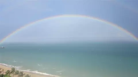 4050 N Ocean Dr #1106, Fort Lauderdale, FL 33308