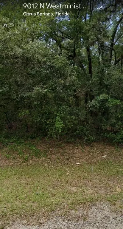 9012 N Westminister, Citrus Springs, FL 34434