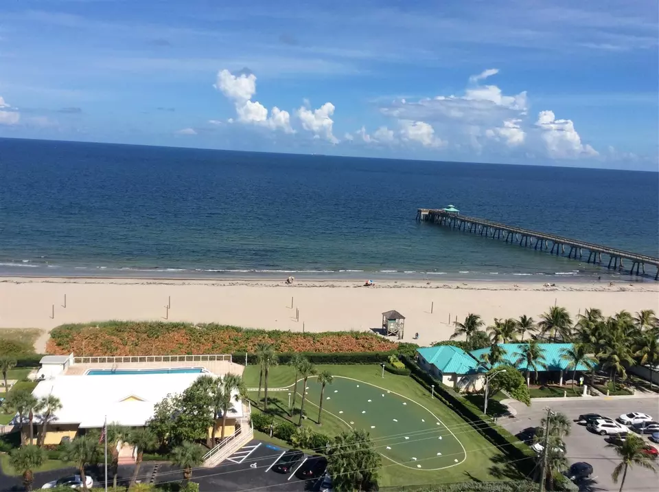 View/Area - 333 NE 21st Ave #318, Deerfield Beach, FL 33441 photo 4 of 10